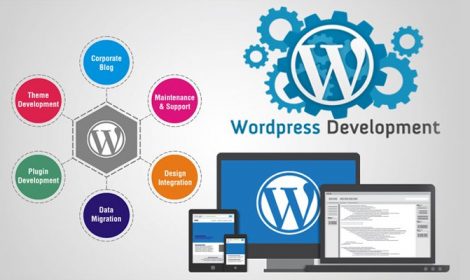 Service of Capaz Softech Pvt. Ltd. - Wordpress Development